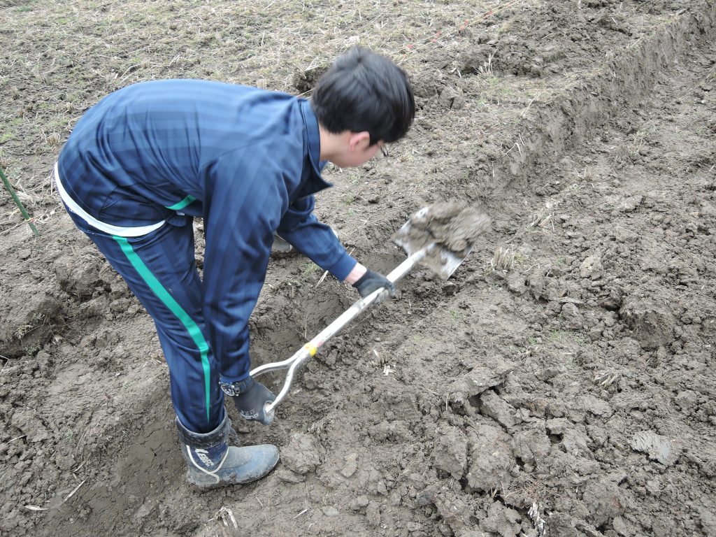 溝堀り